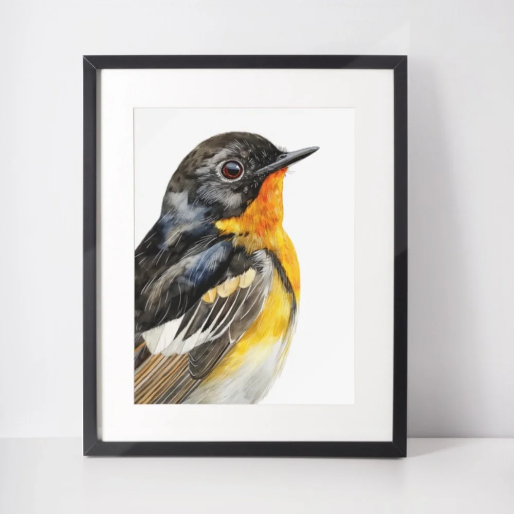 Watercolor American Redstart Bird Print Unframed - Wall Art Bird Illustration - Picture 4 of 6